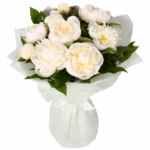 Букет голландских пионов 9 штук