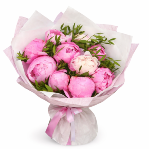 Букет голландских розовых пионов 9 штук