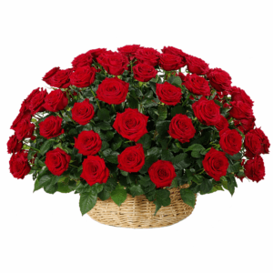 101 красная роза в корзине
