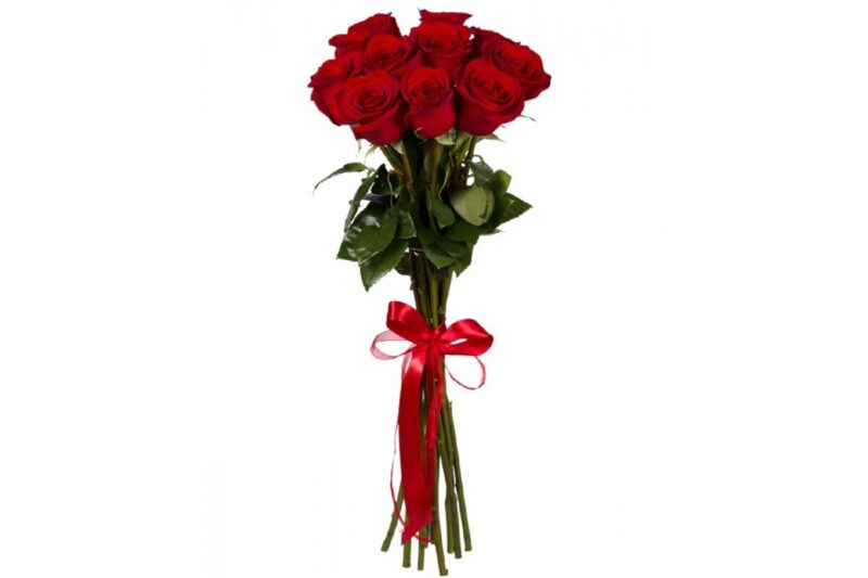 Красная роза 100 см 11 штук