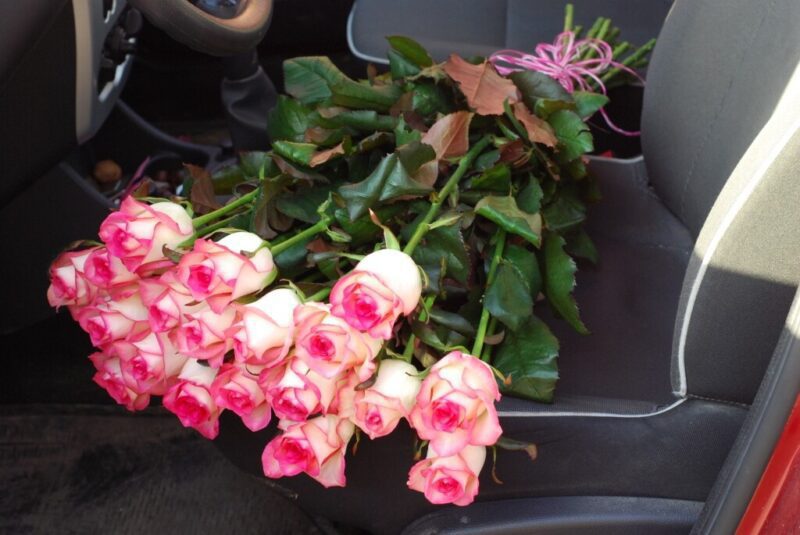 Роза бело розовая Джумилия 50 см 15 штук