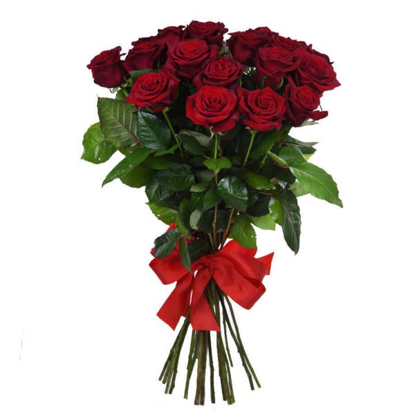 Красная роза 80 см 21 штука