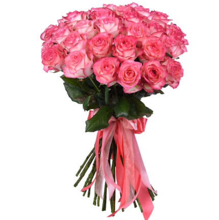 Роза бело розовая Джумилия 70 см 33 штуки