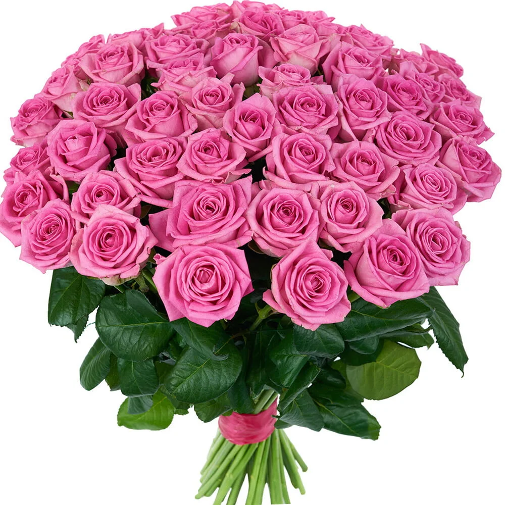 51 pink rose aqua - Image 1