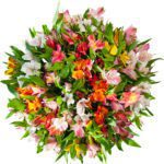 Букет Альстромерія 35 шт