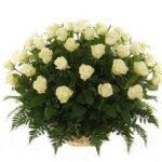 Кошик білих троянд 51 шт