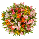 Букет Альстромерия 35 шт