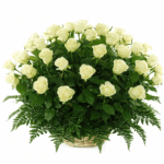 Корзина белых роз 51 шт