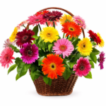 Корзина из гербер 25 шт