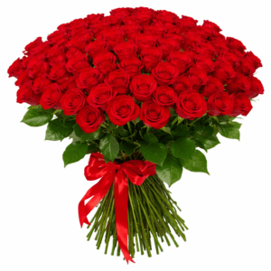Красная роза 35 штук