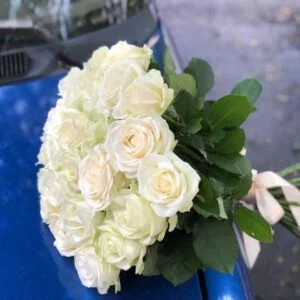 Персиковая роза Пич Аваланч 25 штук