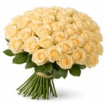 Персиковая роза Пич Аваланч 75 штук