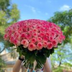 Роза  Джумилия  101 штука