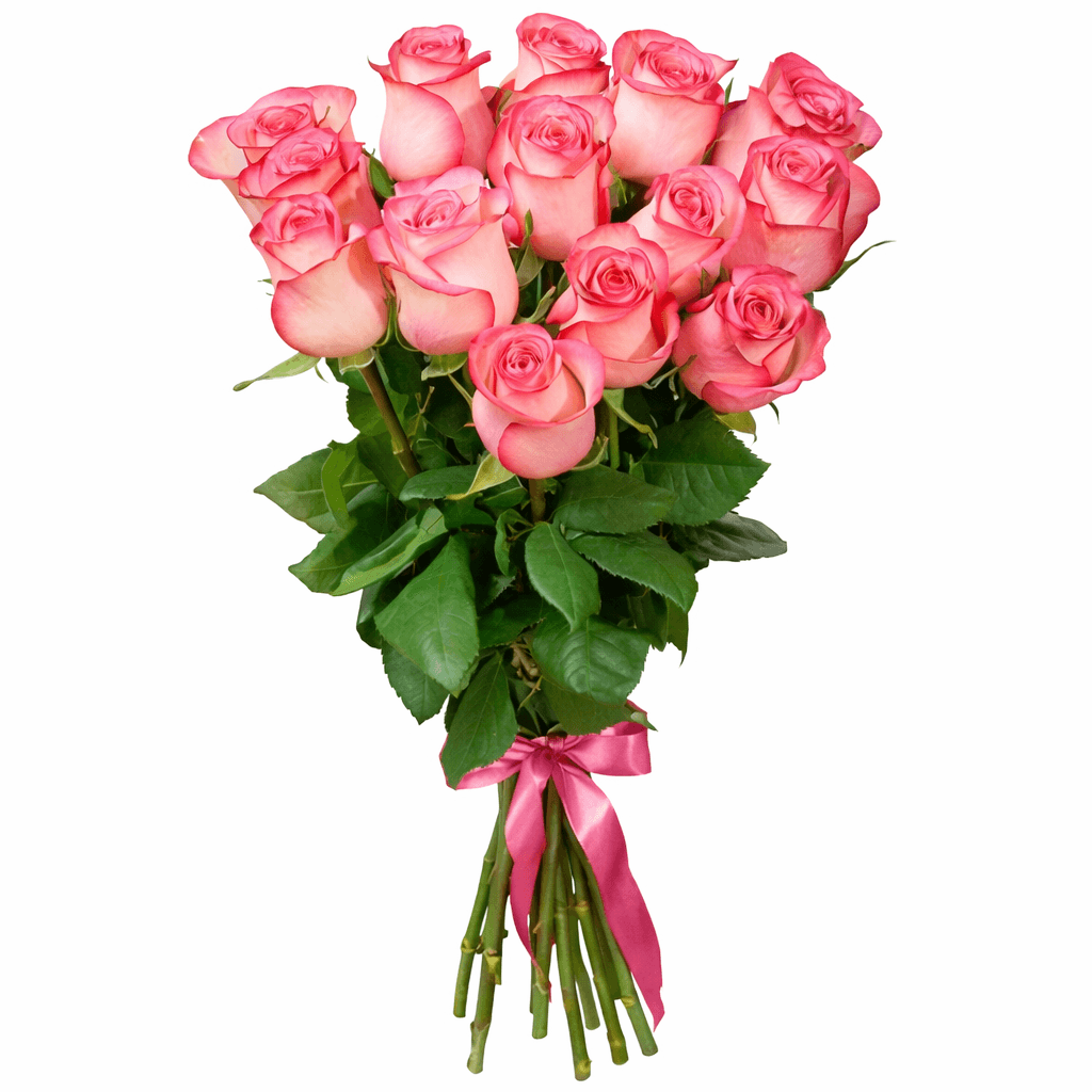 Роза бело розовая Джумилия 15 штук Роза бело розовая Джумилия 15 штук