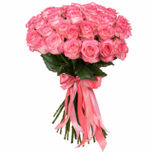 Роза бело розовая Джумилия 35 штук