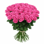 Розовая роза Аква 45 штук