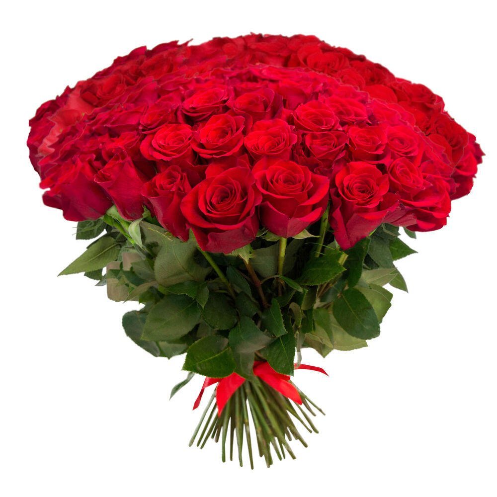 101 красная роза Одесса недорого. Купить букет с доставкой