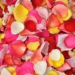 Пелюстки мікс