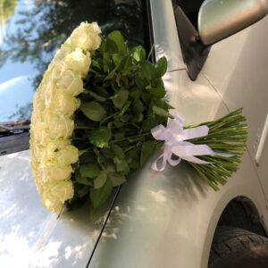 101 белая роза вид сбоку