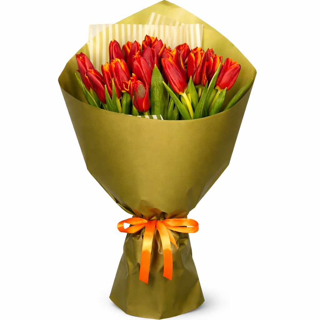 Букет 25 тюльпанов красных Букет 25 тюльпанов красных
