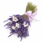Букет «Лаванда и хлопок»
