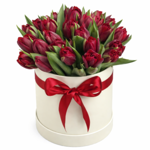 21 тюльпан в коробке