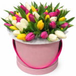 31 тюльпан в коробке