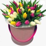 31 tulips in box No. 17