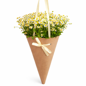 Букет из ромашек