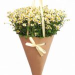 Букет из ромашек №155