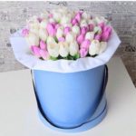 51 tulips in box No. 20