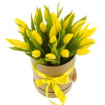 39 tulips in box No. 49