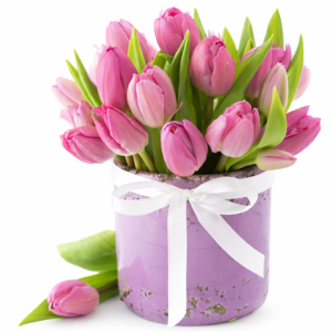 17 тюльпанов в коробке