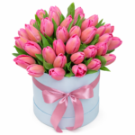 19 тюльпанов в коробке