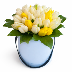 23 тюльпана в коробке № 40