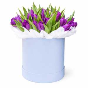 25 тюльпанов в коробке № 29