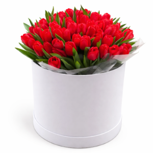 33 тюльпана в коробке