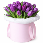 35 тюльпанов в коробке