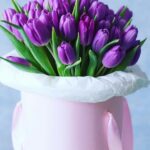 35 тюльпанів у коробці № 27