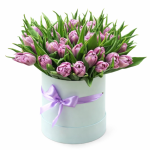 43 тюльпана в коробке № 47