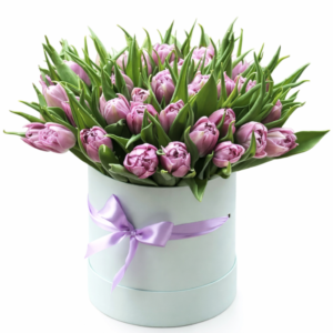 51 пионовидный тюльпан в коробке № 26