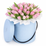 51 тюльпан в коробке № 21