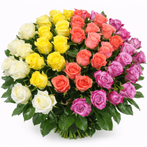 Корзина из роз в стиле омбре 51шт