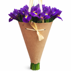 Букет 19 ирисов в конусе