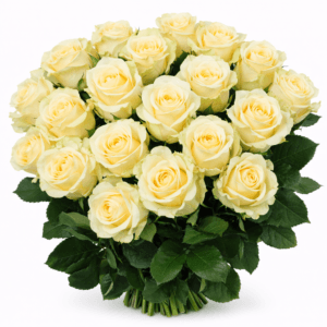 Персиковая роза Пич Аваланч 15 штук