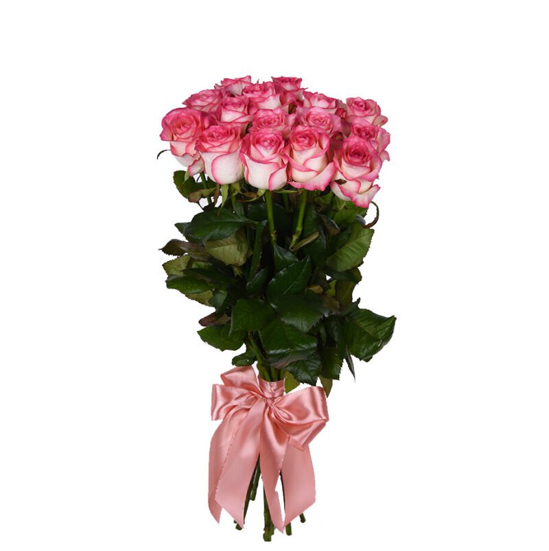 Роза бело розовая Джумилия 90см 11 штук