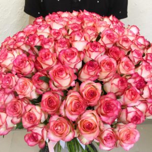 Роза бело розовая Джумилия 51 шт