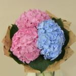 Букет гортензій №169
