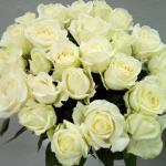 Bouquet of 35 white roses №182