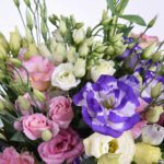 Bouquet Eustoma 25 branches